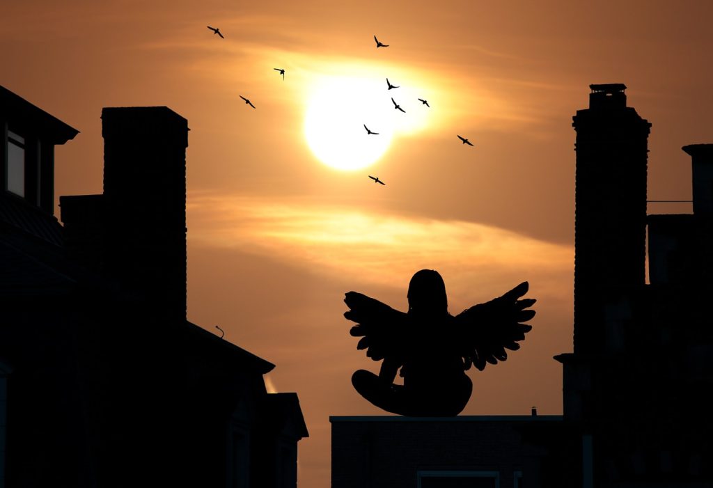 sunset, houses silhouette, angel